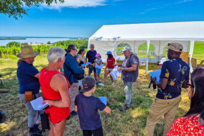 Agrandir l'image 1 sur 9, fenêtre modale