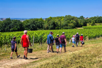 Agrandir l'image 3 sur 9, fenêtre modale