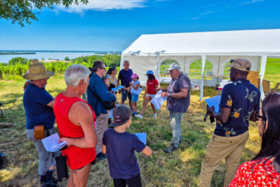 Agrandir l'image, fenêtre modale