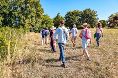 Agrandir l'image, fenêtre modale