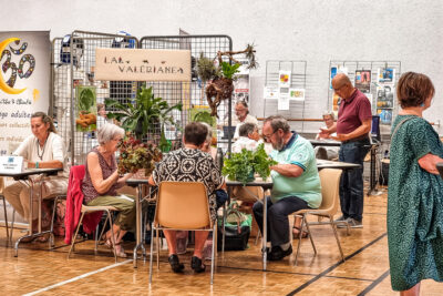 Agrandir l'image 5 sur 10, fenêtre modale